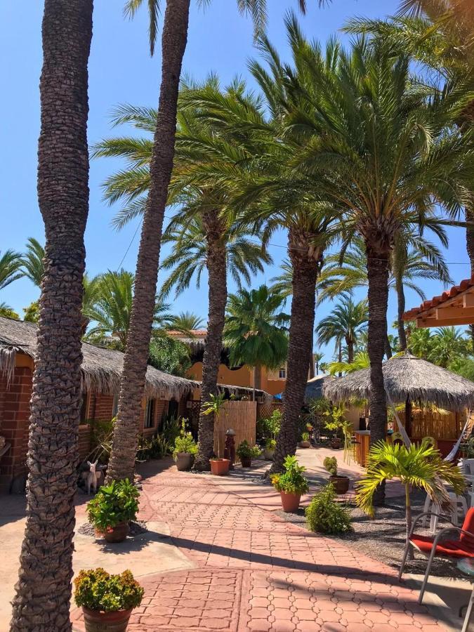 Sukasa Bungalows Loreto (Baja California Sur) Exterior foto